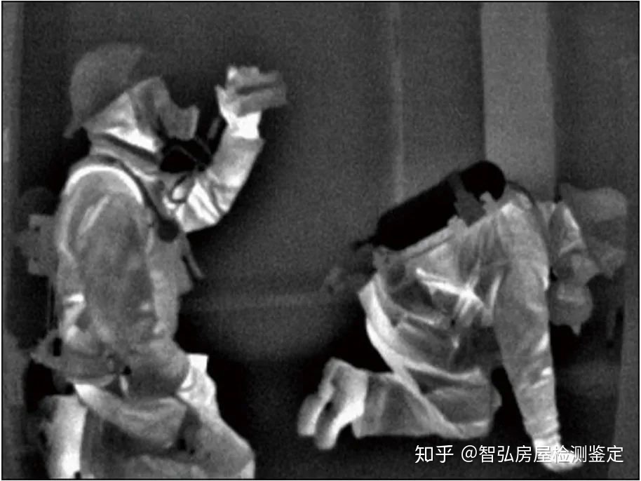 紅外熱成像如何阻止一場森林大火